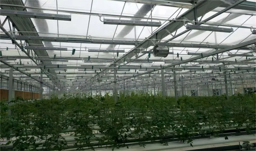 Plantengroeilamp