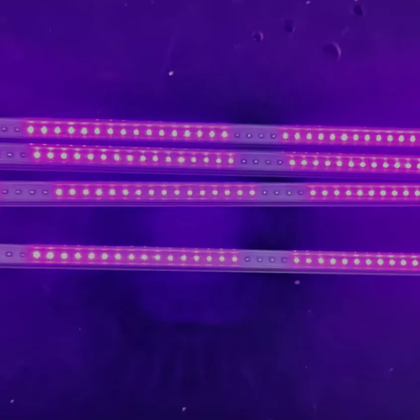 UV-lichtdesinfectie voor ziekenhuizen