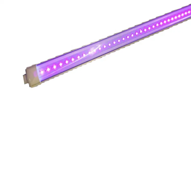 Ultraviolet licht voor ruimtedesinfectie