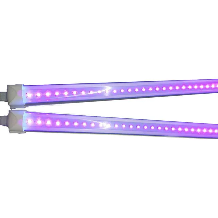 Ultraviolet licht voor ruimtedesinfectie