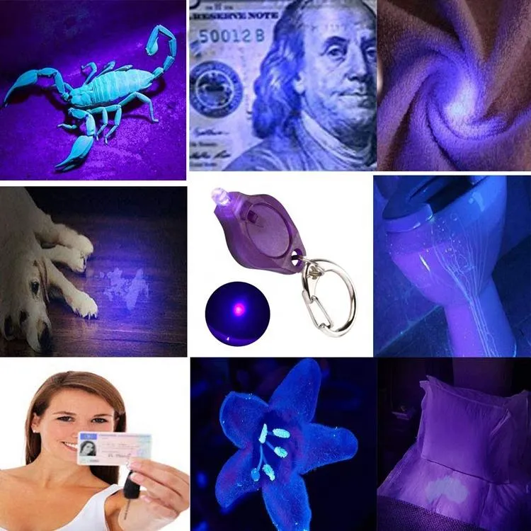 UV-sleutelhangerlampje