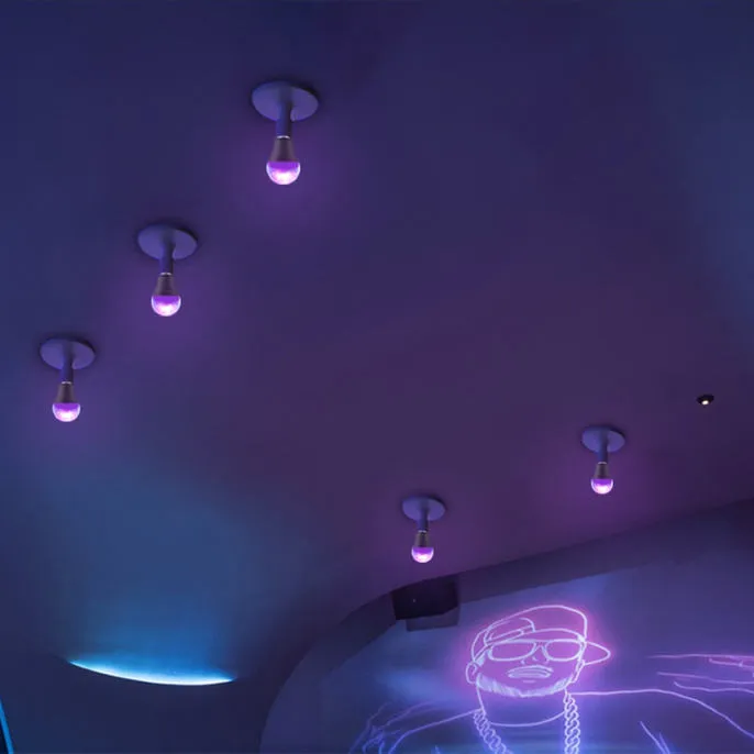 UV-lamp