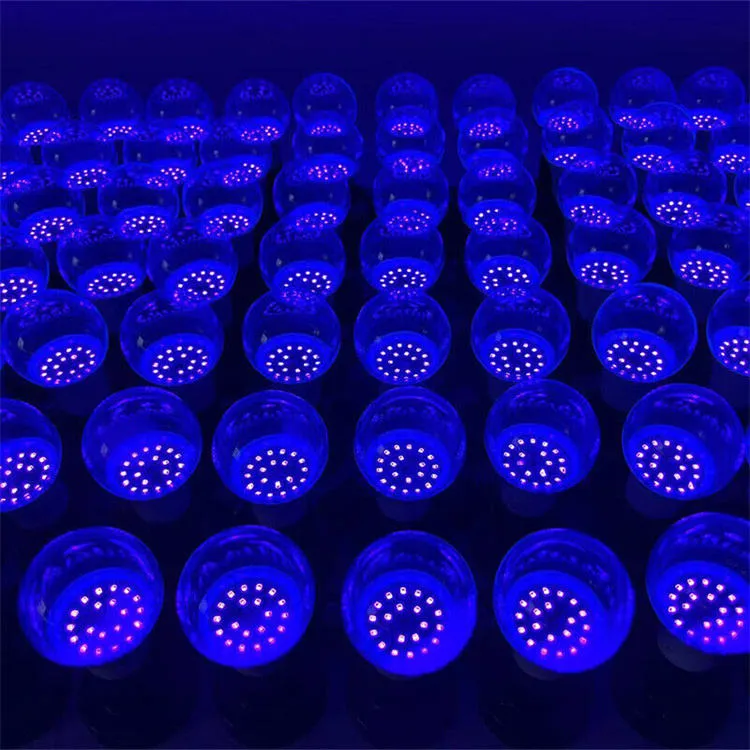 UV-lamp