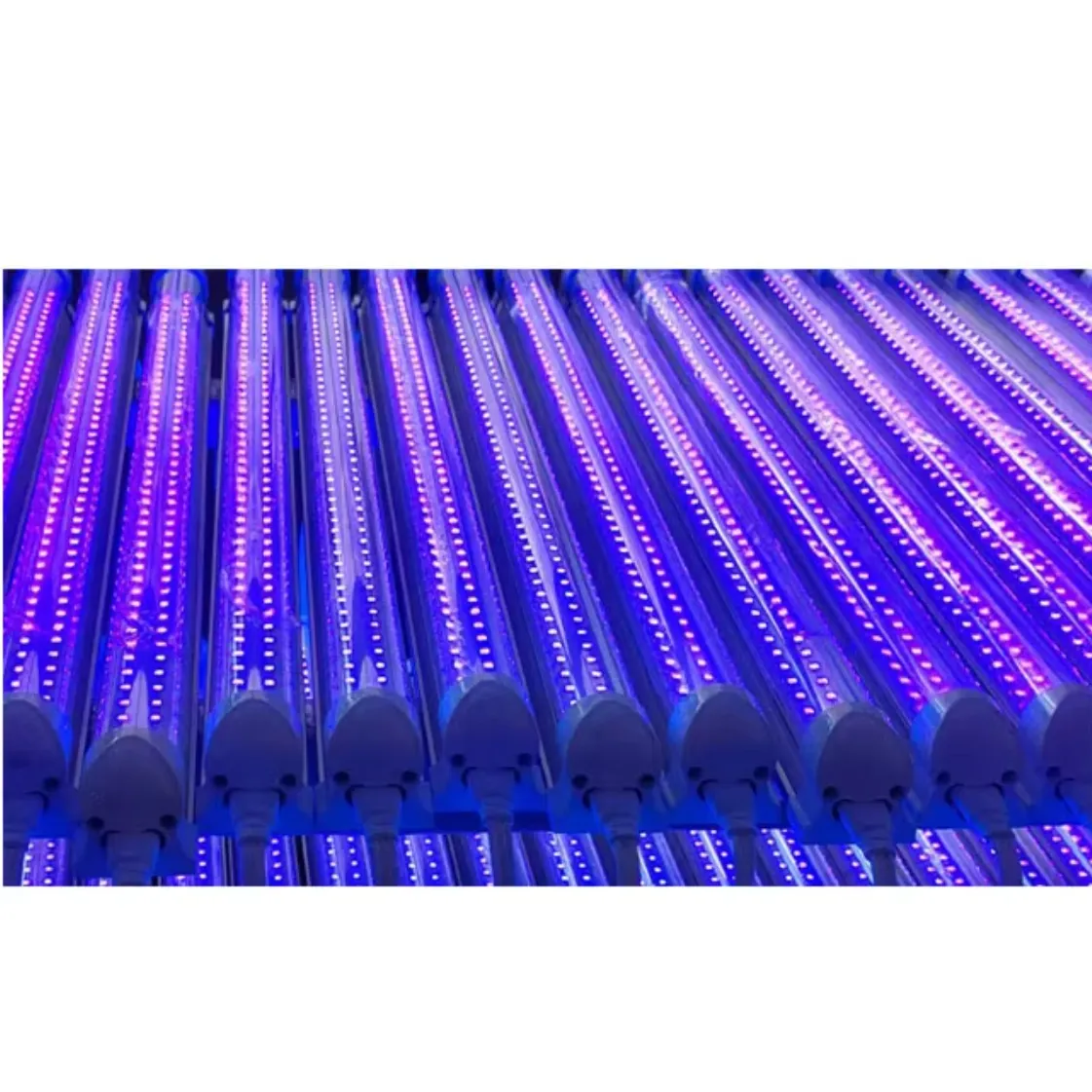 UV-buislamp