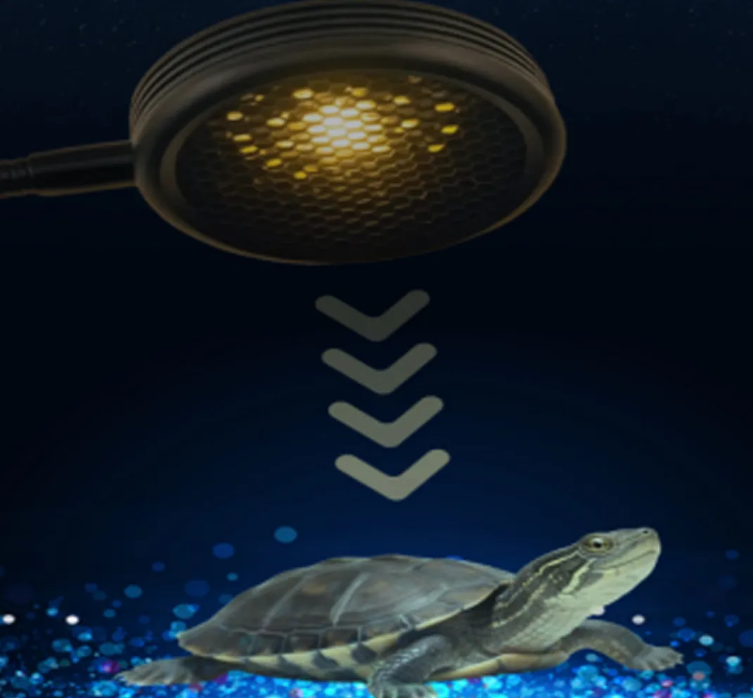 UVB/UVA reptielenlamp