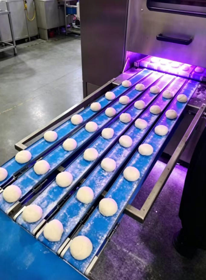 UV_LED_Conveyor_Belt_Sterilization_–_Custom_Solution_for_Food_Industry.jpg