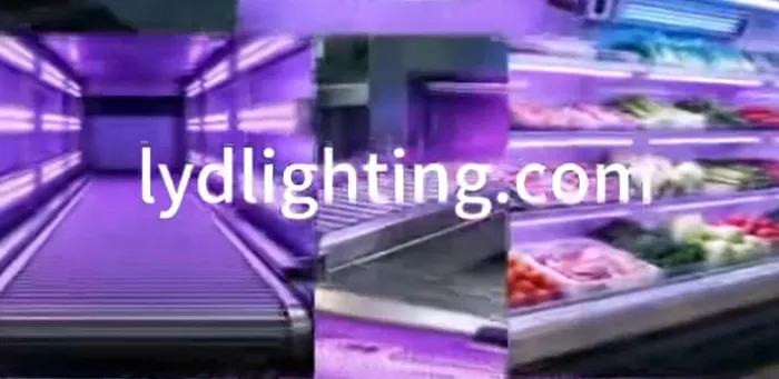 UV-LED-sterilisatie voor voedselverwerking – versdisplay, eierlijn, bakkerijtransportband | LYD Electronics